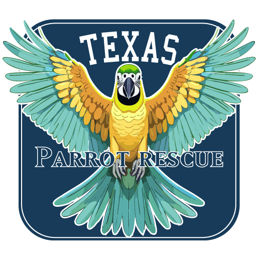 Texas Parrot Rescue